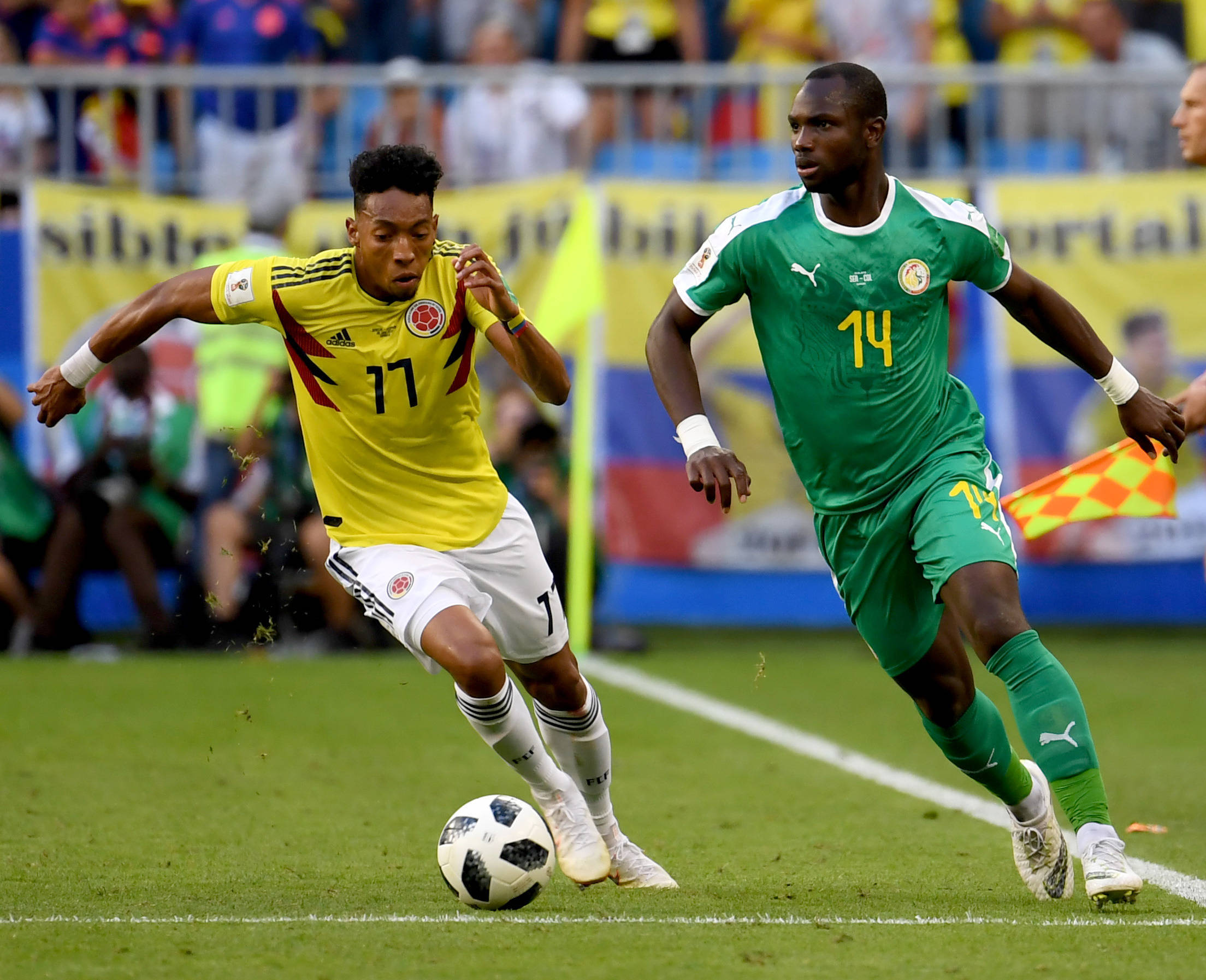 将为球迷们 将为球迷们